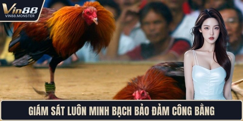 Giám sát luôn minh bạch bảo đảm công bằng